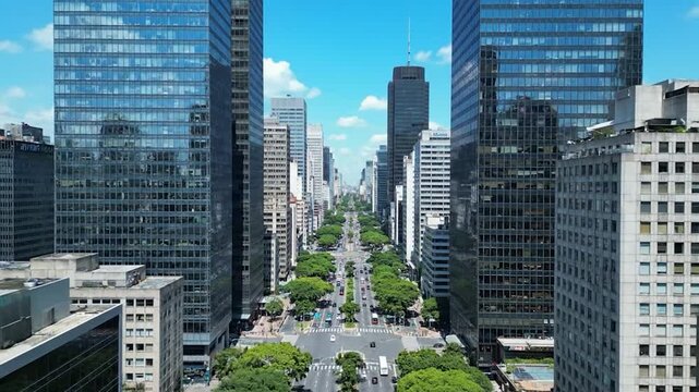 Aerial view of a city avenue framed by tall glass buildings and lined with trees
