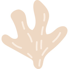 Obraz premium Abstract beige organic shape with delicate white lines on a transparent background representing natural elements and organic forms in minimalist graphic design