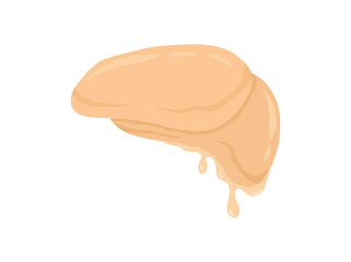 Kombucha Fermented Tea Scoby Illustration
