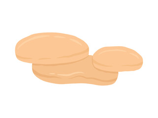 Healthy Kombucha Scoby Clip Art