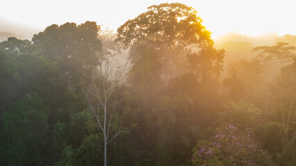 Aerial images of the Amazon rainforest of Madre de Dios, clouds over the trees in Tambopata, Peru