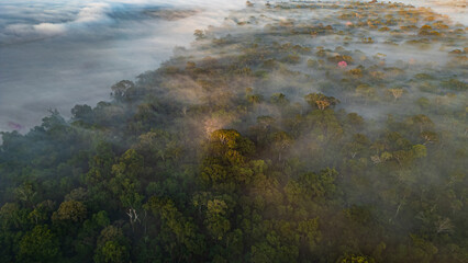Aerial images of the Amazon rainforest of Madre de Dios, clouds over the trees in Tambopata, Peru