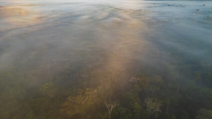 Aerial images of the Amazon rainforest of Madre de Dios, clouds over the trees in Tambopata, Peru