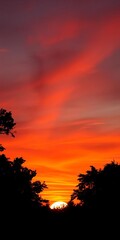 Dark trees against a vibrant sunset sky, a classic silhouette scene,  sunset,  outdoor