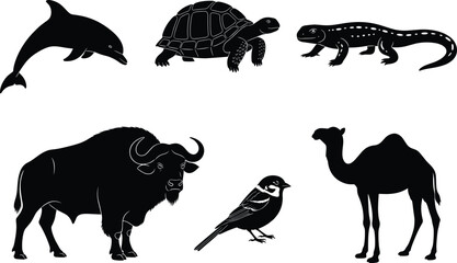 Animal silhouette set, dolphin, tortoise, salamander, buffalo, sparrow, camel, vector illustration, wildlife icons, black and white, minimal design