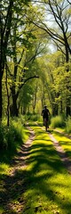 Fototapeta premium Gentle pedaling through sun-dappled nature trails, a peaceful cycling escape, dappled, simple