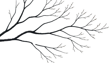 Winter scene featuring snow covered tree branches against a white background