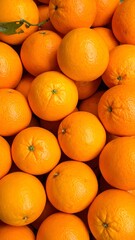 A full-frame shot showcases many bright oranges