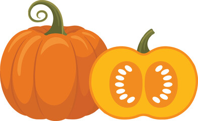 Cartoon Illustration Whole Orange Pumpkin with Curly Stem and a Pumpkin Half with Seeds