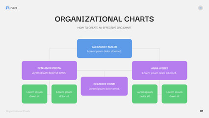 Organizational Chart