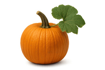 Fresh pumpkin with green leaf and stem, ripe orange gourd vegetable for autumn season and halloween holiday, isolated on transparent background