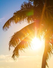 Sun flares through palm fronds against a bright, clear blue sky