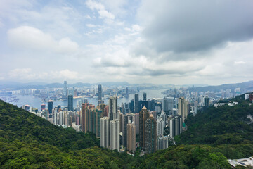 Obraz premium Hong kong skyline rising above lush green forest on victoria peak