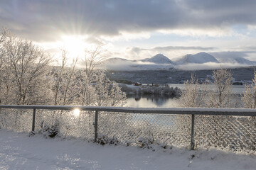 Fototapety na wymiar - Fototapeta24.pl