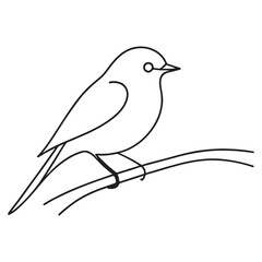 bird on a branch line art