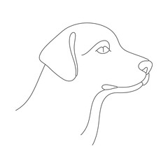 vector illustration of a dog
