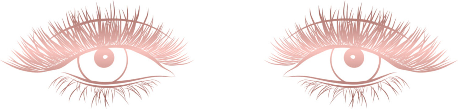 Hand drawn Gold sketch Female women Beautiful eyelash extention eyebrows outline for cosmetic beauty makeup template design