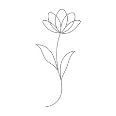 vector floral background