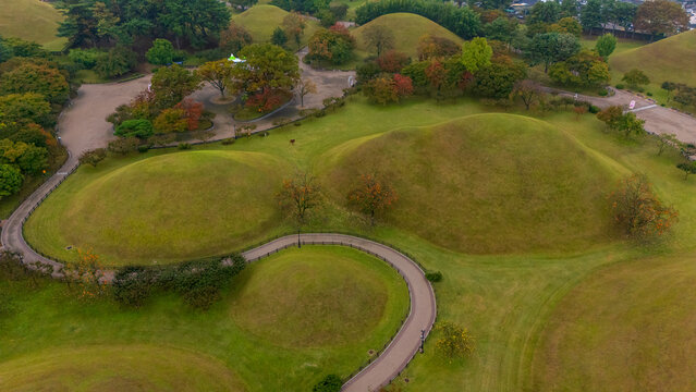 Autumn of Daereungwon ancient tomb in Gyeongju, Korea