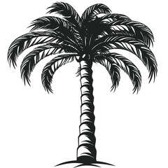 Fototapeta premium Palm tree black silhouette graphic element