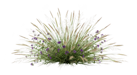 Decorative Garden Bush With Feathery Grasses And Purple Verbena