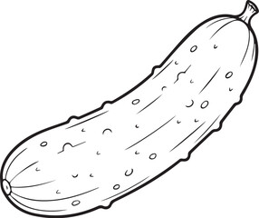 vector illustration of a cucumber