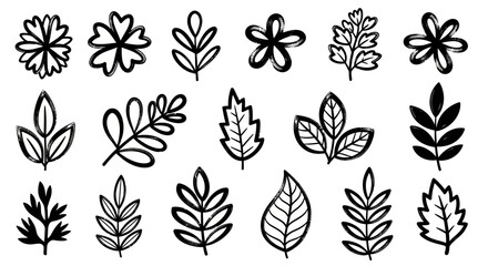 A collection of hand-drawn botanical illustrations featuring various leaves and floral elements in a simple black and white sketch style.