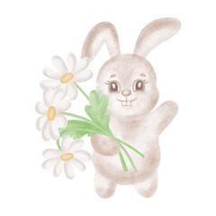 Cute little bunny with daisy flower bouquet. Watercolor rabbit with chamomiles illustration for Easter card. Hand-drawn isolated hare, smiling character for baby shower design. Clip art funny animal.