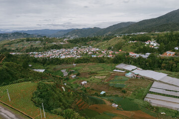 Fototapeta premium Cultivated terraces forming geometric patterns in rural landscape with farmhouses and dirt road