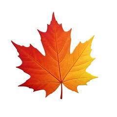 Vibrant autumn maple leaf gradient red to yellow against black nature detail