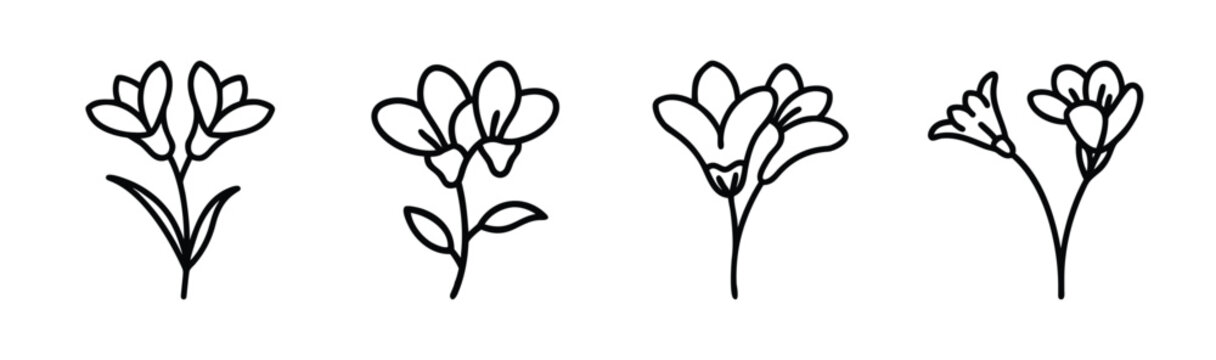Delicate freesia flower line art collection floral designs simple botanical sketches