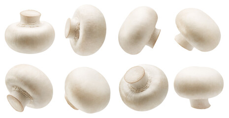 Set of white button mushrooms isolated