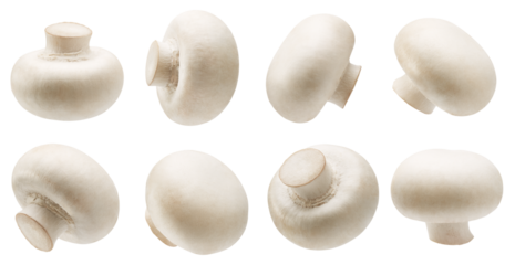 Set of white button mushrooms isolated