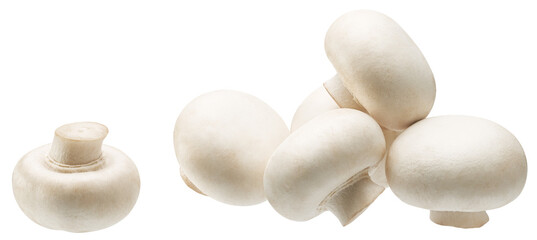 White champignon mushrooms or white button mushrooms isolated