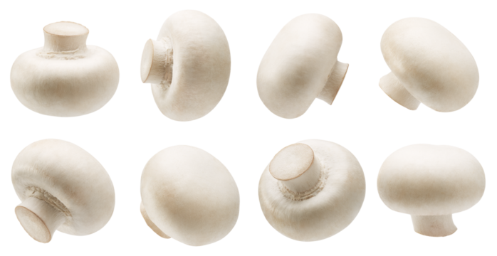 Set of white button mushrooms isolated