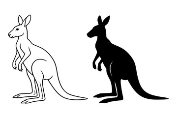 Fototapeta premium Kangaroo Vector Illustration, Outline and Silhouette Versions