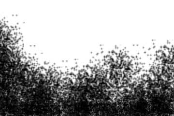 Abstract textured organic pattern of dark black organic particles forming a dense border on a white background isolated on transparent background