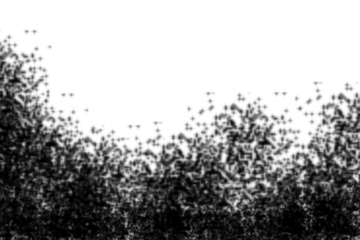 Abstract textured organic pattern of dark black organic particles forming a dense border on a white background isolated on transparent background