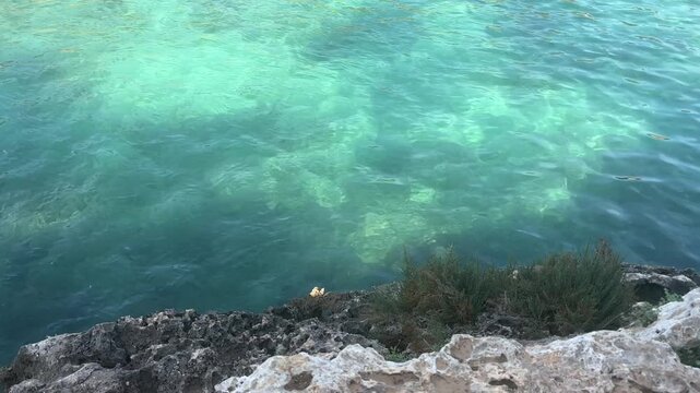 clear turquoise waters shimmer by the rocky edge at cala sa nau in mallorca spain