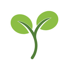 Simple green sprout with two leaves on white background seedling plant