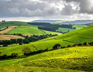 Naklejka premium Rolling green hills under a cloudy sky, rural landscape