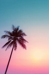 Palm tree silhouette at sunset colorful sky
