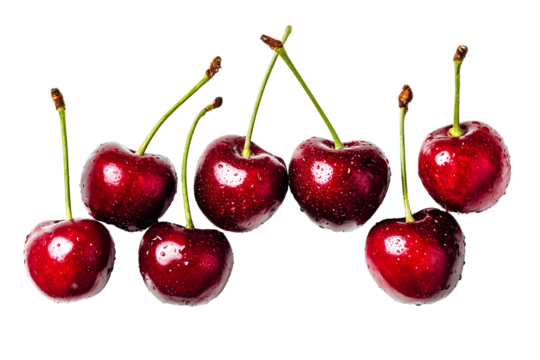 Sweet dark red cherries pile with water drops on surface. Realistic fruit template pattern. Benefits of cherries help in synthesis of collagen. Isolated on cutout PNG or transparent background.
