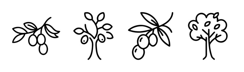 Set of four stylized olive tree and branch icons for design and decoration