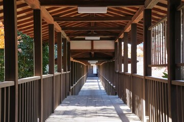 秋の本土寺（千葉県松戸市）。紅葉の境内。妙朗堂と像師堂を結ぶ回廊。