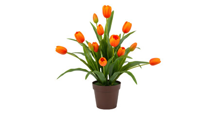 Orange tulip flowers in a pot artificial floral arrangement for home decor isolated on white background