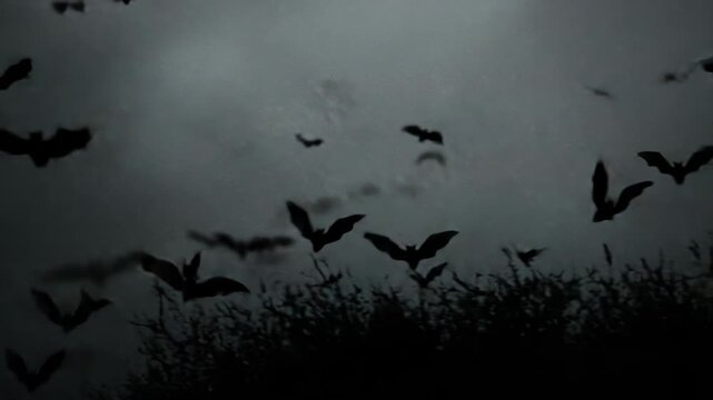 A swarm of bats flying in a dark, cloudy sky at dusk