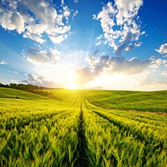 Fototapeta premium Sunrise over a vibrant green field