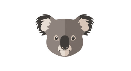 Koala face portrait with transparent background