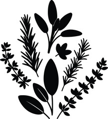 Silhouette vector fresh herbs assortment of rosemary sage and thyme Illustrator